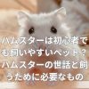 ハムスターは初心者でも飼いやすいペット？
