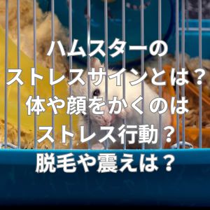 ハムスターのストレスサインとは？