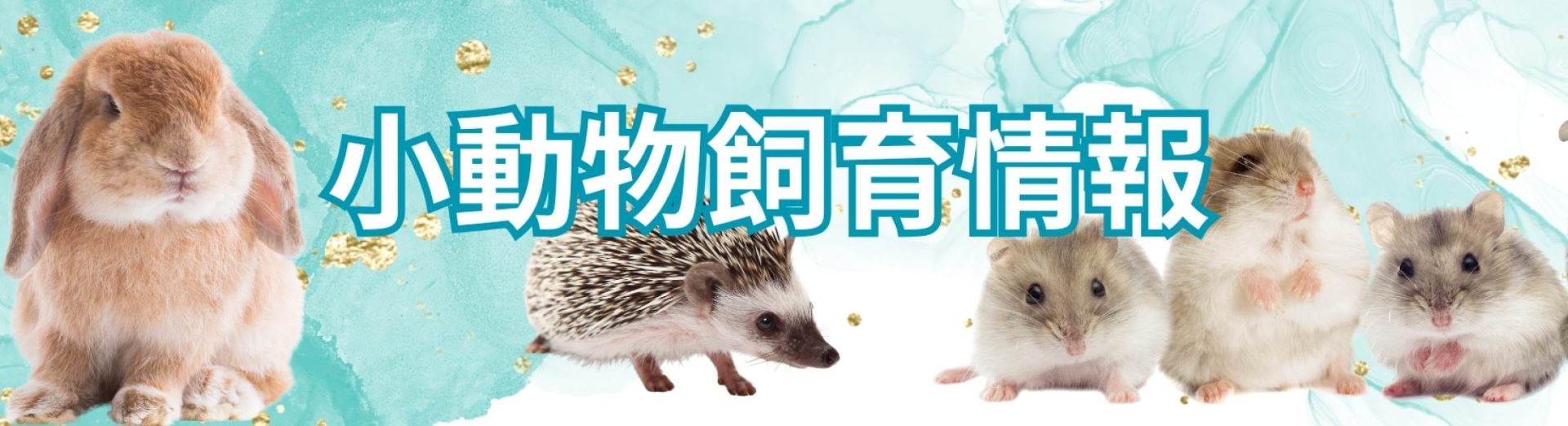 小動物飼育情報