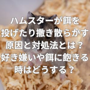 ハムスターが餌を投げたり撒き散らかす原因と対処法