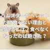 ハムスターがペレットだけ食べない理由と対処法