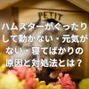 ハムスターがぐったりして動かない・元気がない・寝てばかりの原因と対処法とは？