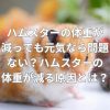 ハムスターの体重が減っても元気なら問題ない？