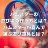 ハムスターの遊び場の作り方とは？ハムスターが喜んで遊ぶ遊び道具とは？