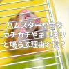 ハムスターが歯をカチカチやギリギリと鳴らす理由とは？