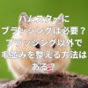 ハムスターにブラッシングは必要？