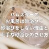 ハムスターのお風呂は砂浴び？砂浴びをしない理由と上手な砂浴びのさせ方