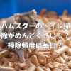 ハムスターのトイレ掃除がめんどくさい！？掃除頻度は毎日？