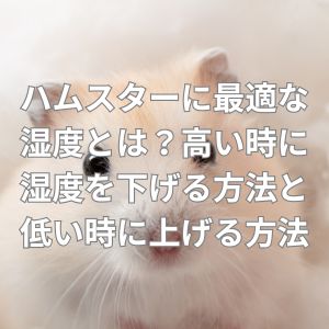 ハムスターに最適な湿度とは？