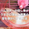ハムスターの回し車がうるさい理由と滑車の音を静かにする方法