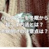 ハムスターを冬眠から起こす方法とは？冬眠明けの注意点は？