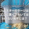 ハムスターのケージはどこに置く？おいてはいけない場所とは？