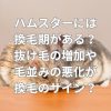 ハムスターの換毛期
