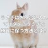 うさぎはお風呂に入れてはダメ？うさぎを綺麗に保つ方法とは？