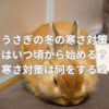 うさぎの冬の寒さ対策はいつ頃から始める？寒さ対策は何をする？
