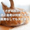 うさぎの秋から冬の適正温度は何度？冬は暖房なしでも大丈夫？