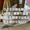うさぎの換毛期はいつ頃？暖房で温度管理した飼育では毛は生え替わらない？