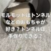 モルモットはトンネルなどのおもちゃが好き？トンネルは手作りできる？