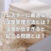 ハムスターに最適な冬の湿度管理方法とは？湿度が低すぎると起こる問題とは？