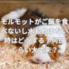 モルモットがご飯を食べないし水も飲まない時はどうする？何日くらい大丈夫？