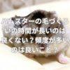 ハムスターの毛づくろいの時間が長いのは良くない？頻度が多いのは良いこと？